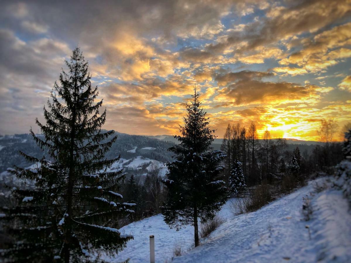 The Beskid View Wisla Exterior photo