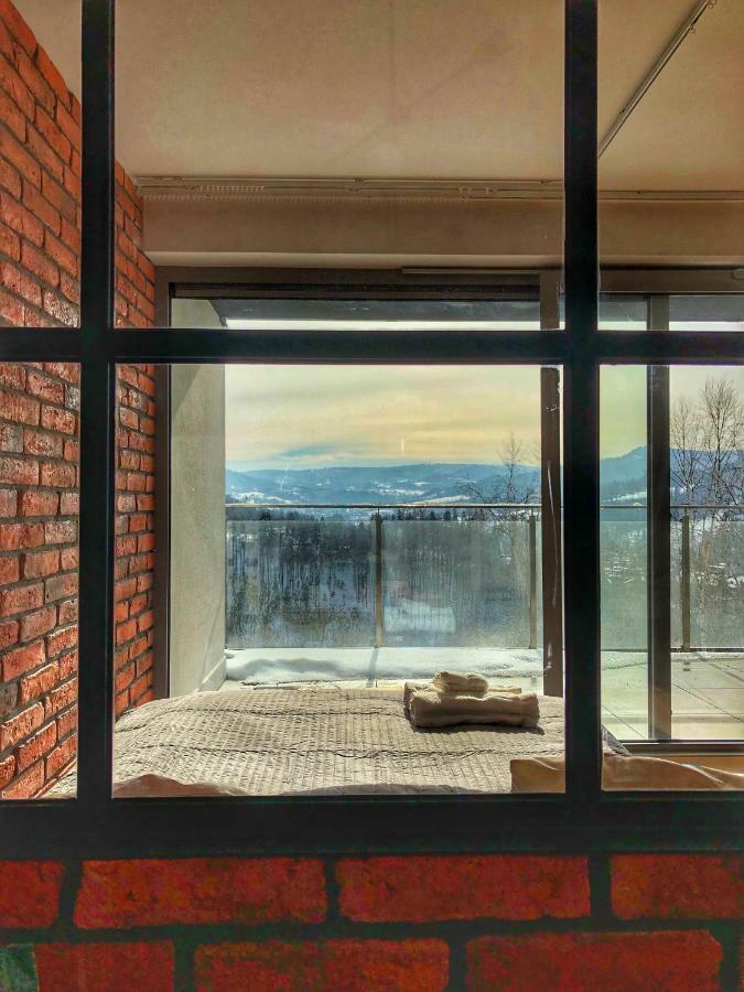 The Beskid View Wisla Exterior photo